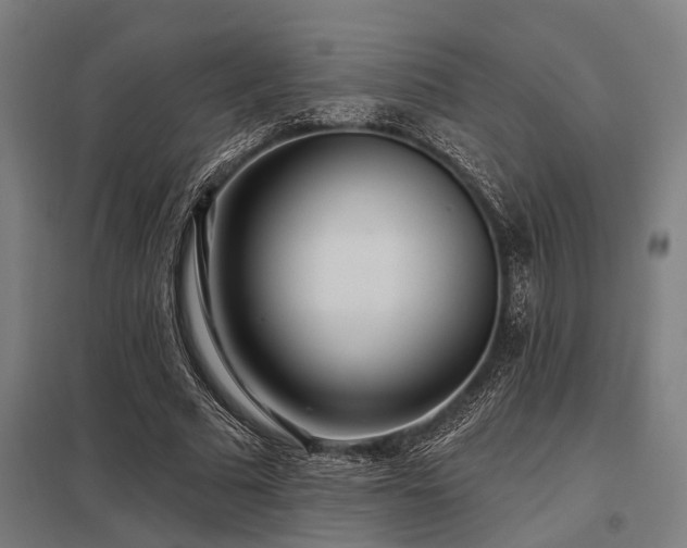 X0000098050681200803281455