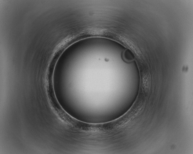 X0000098050682200803281455