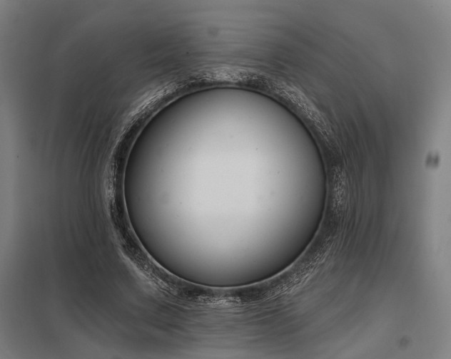 X0000098050683200803281455