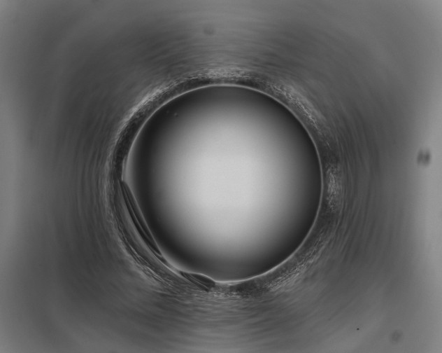 X0000098050684200803281455