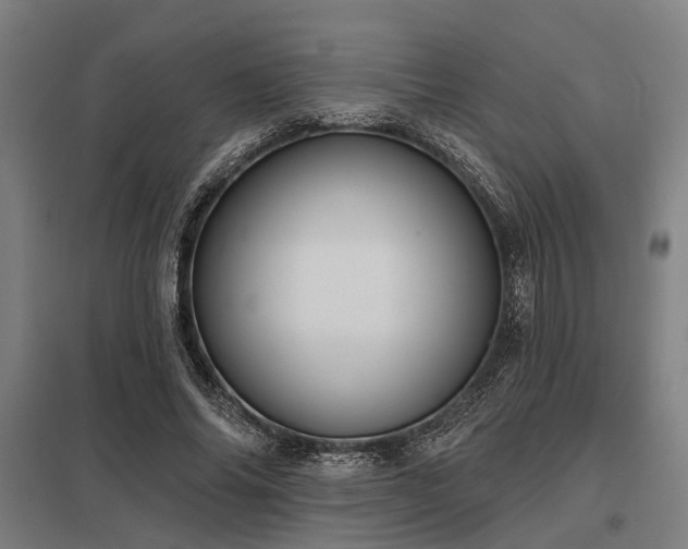 X0000098050686200803281455