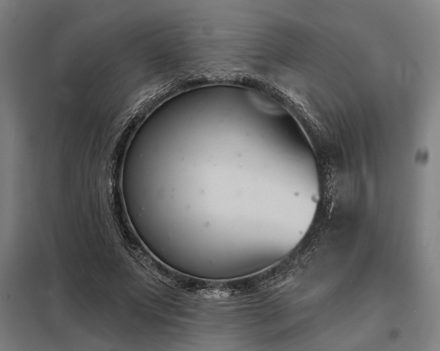 X0000098050687200803281455