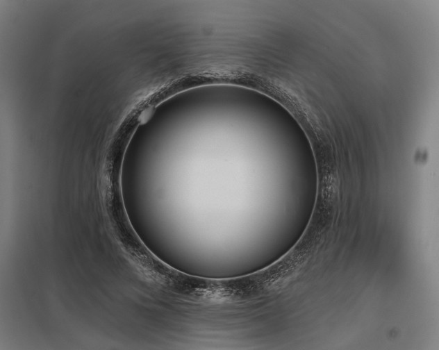 X0000098050688200803281455