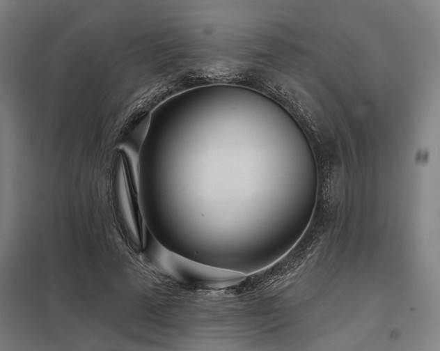 X0000098050689200803281455