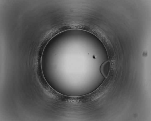 X0000098050690200803281455