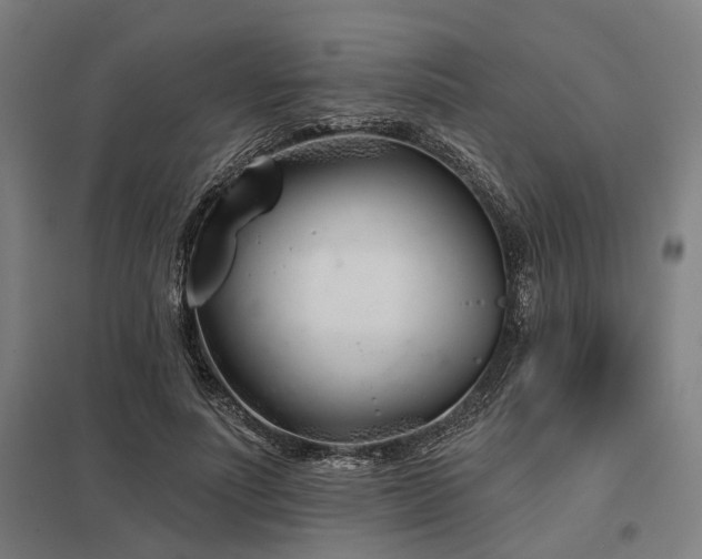 X0000098050691200803281455