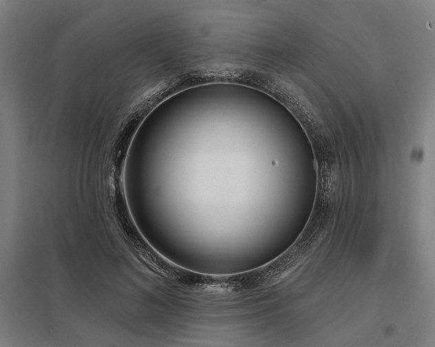 X0000098050692200803281455