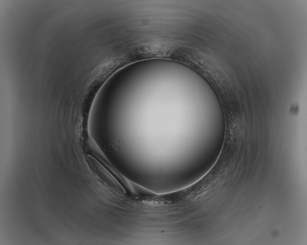 X0000098050693200803281455