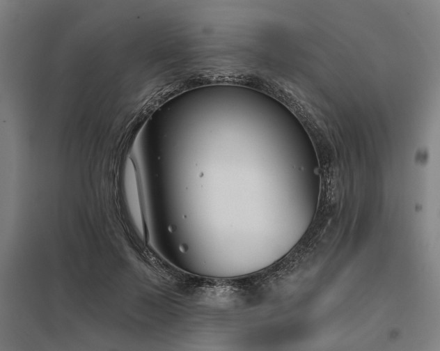 X0000098050695200803281455