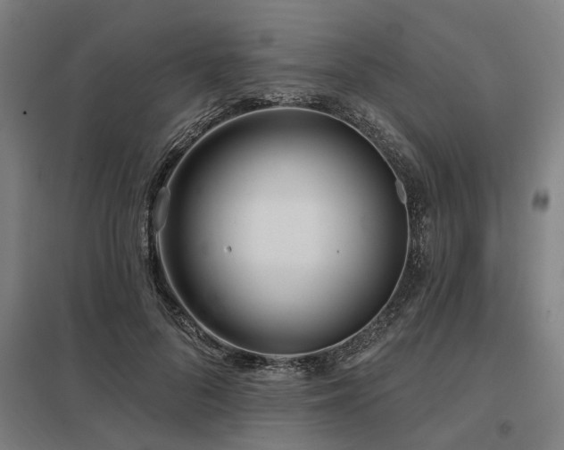 X0000098050696200803281455