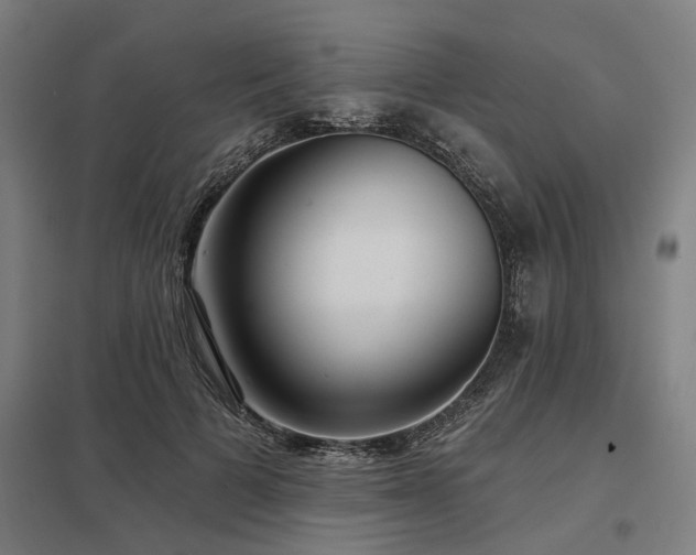 X0000098050697200803281455