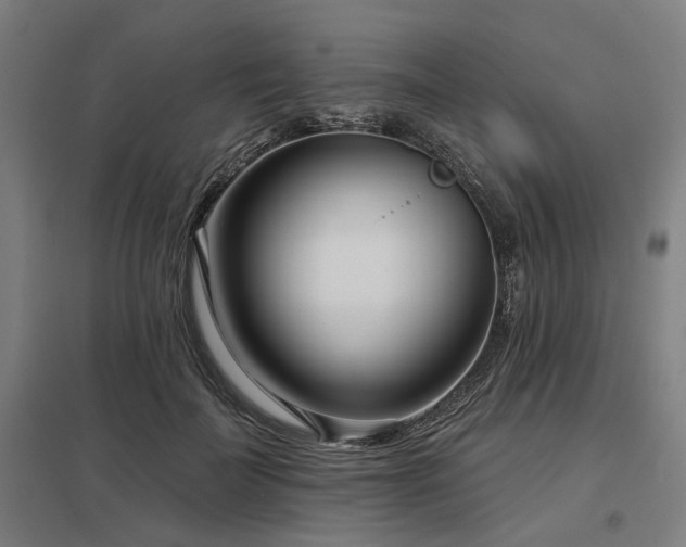 X0000098050699200803281455
