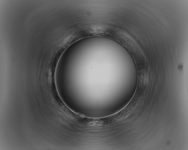 X0000098050700200803281455