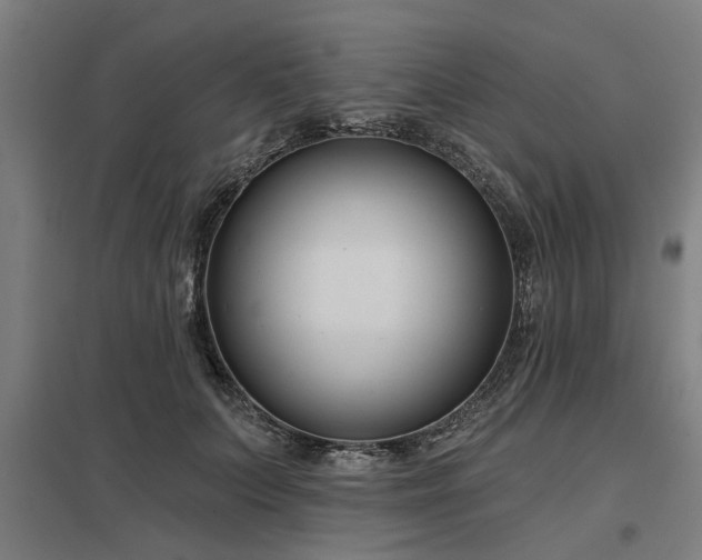 X0000098050703200803281455