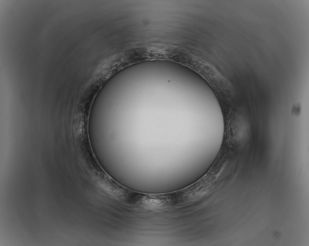 X0000098050706200803281455
