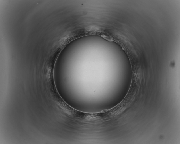 X0000098050708200803281455