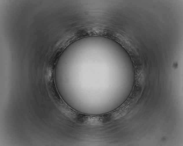 X0000098050709200803281455