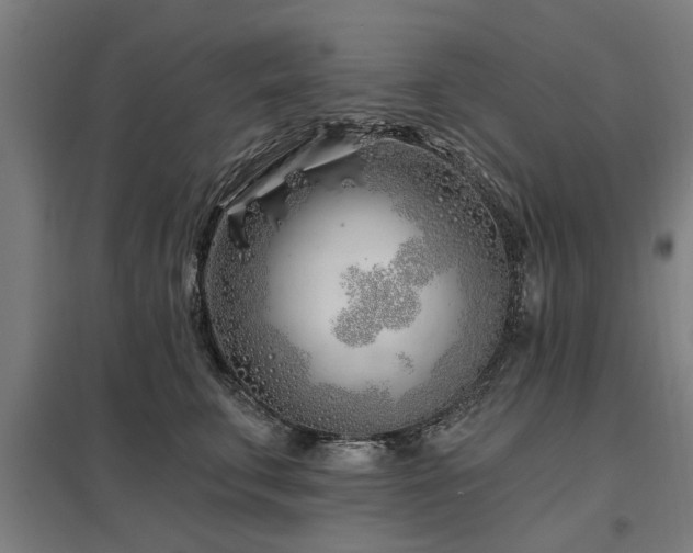 X0000098050711200803281455