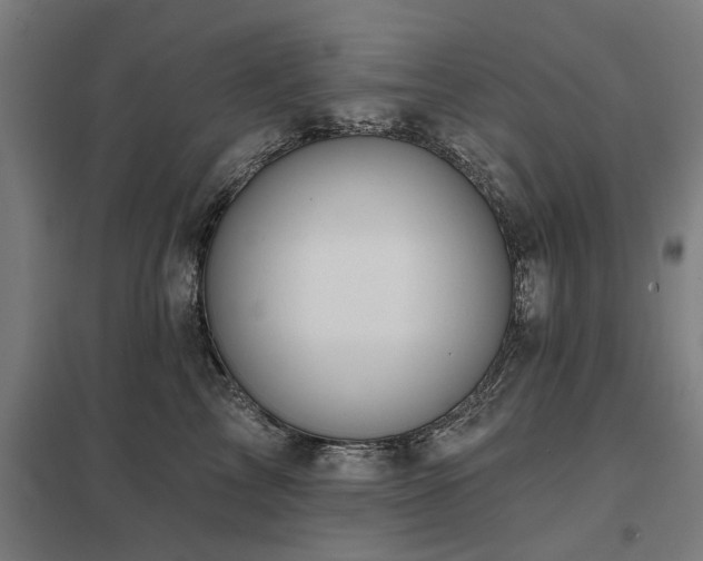 X0000098050713200803281455