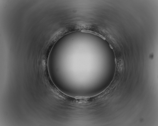 X0000098050716200803281455