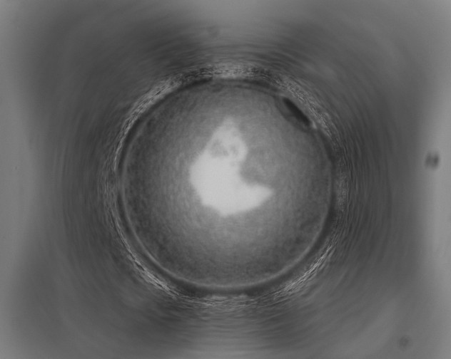 X0000098050721200803281454