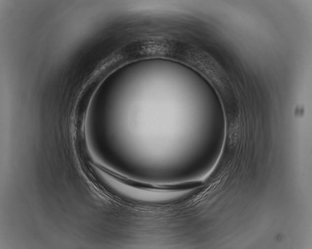 X0000098050722200803281454
