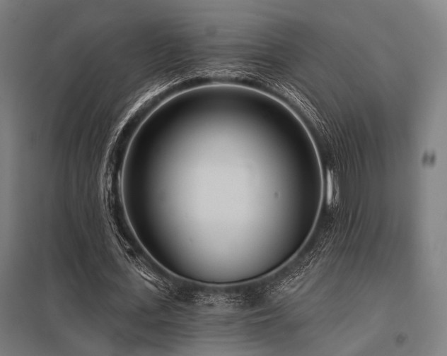 X0000098050723200803281454