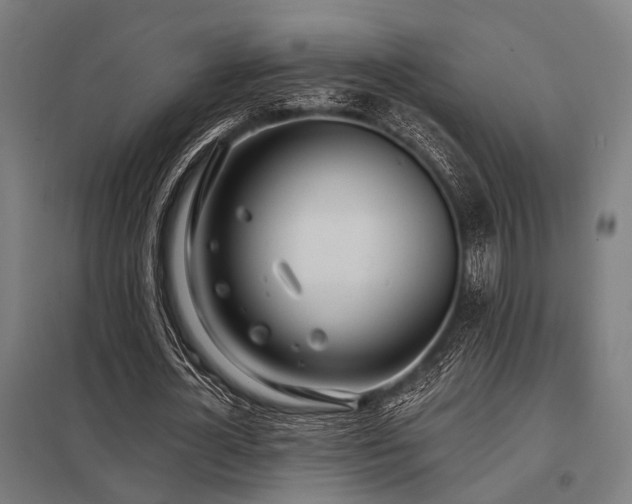X0000098050724200803281454