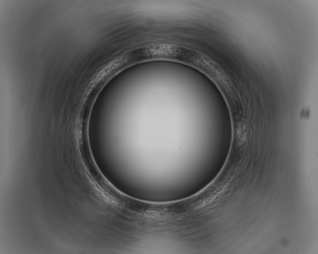X0000098050725200803281454