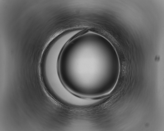 X0000098050726200803281454