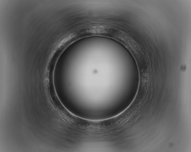 X0000098050727200803281454