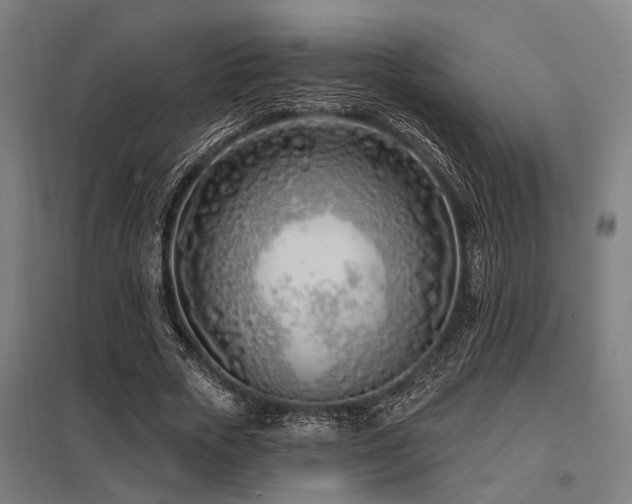X0000098050729200803281454