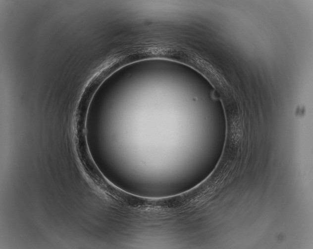 X0000098050730200803281454