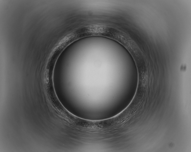X0000098050731200803281454