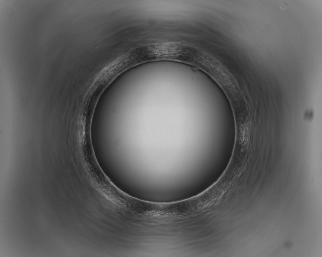 X0000098050733200803281454