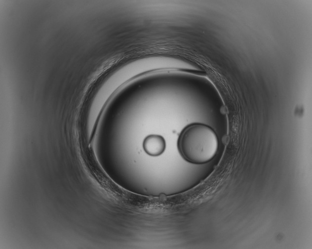 X0000098050734200803281454