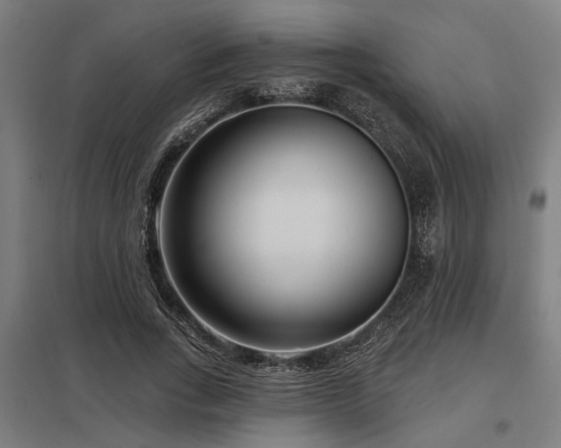 X0000098050735200803281454
