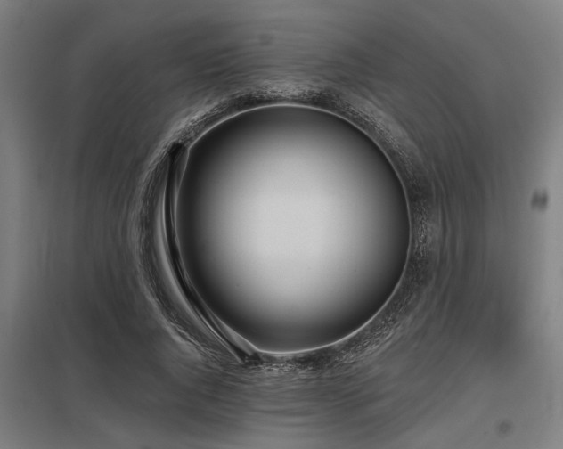 X0000098050736200803281454