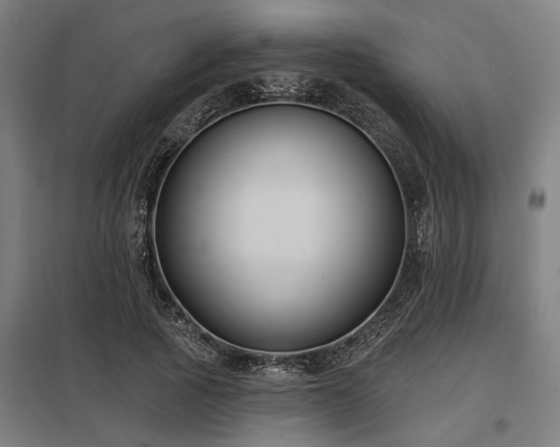 X0000098050737200803281454