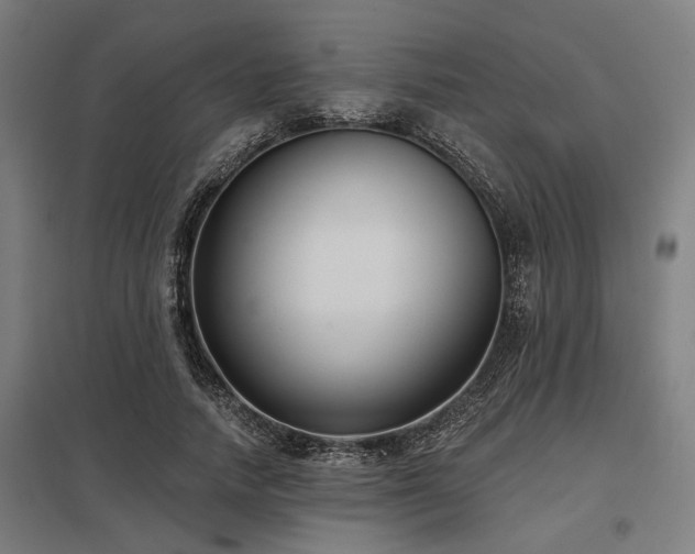 X0000098050738200803281454