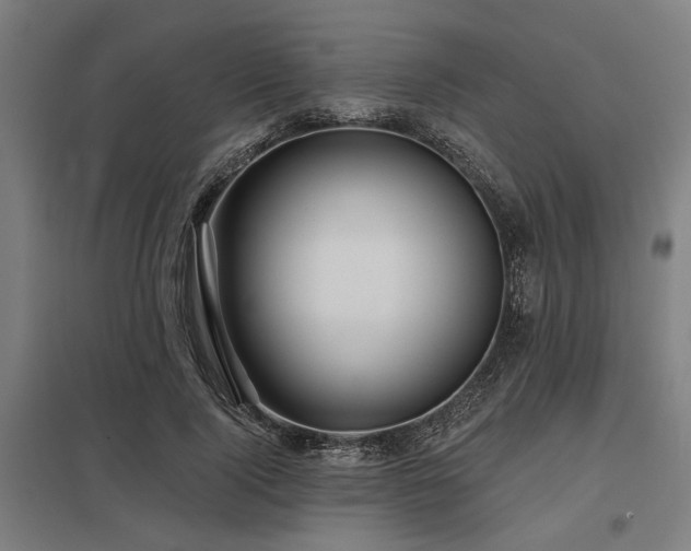 X0000098050740200803281454