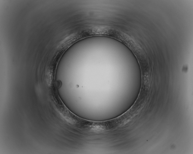 X0000098050741200803281454