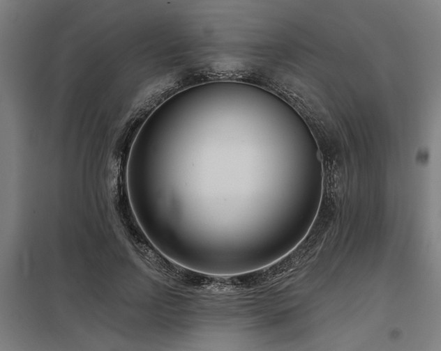 X0000098050742200803281454