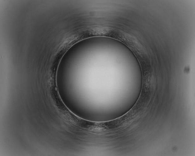 X0000098050743200803281454