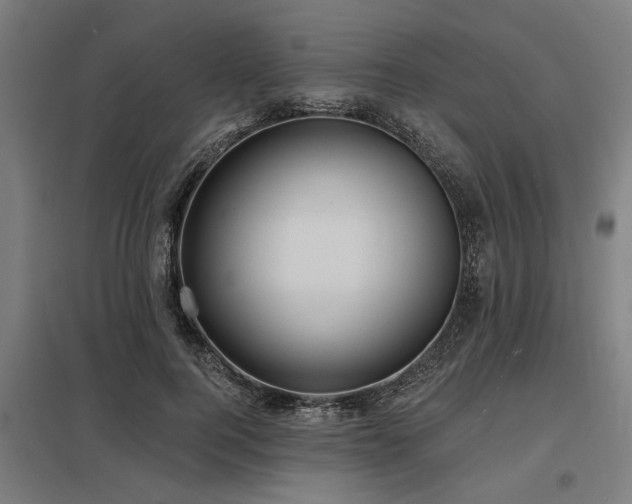 X0000098050744200803281454