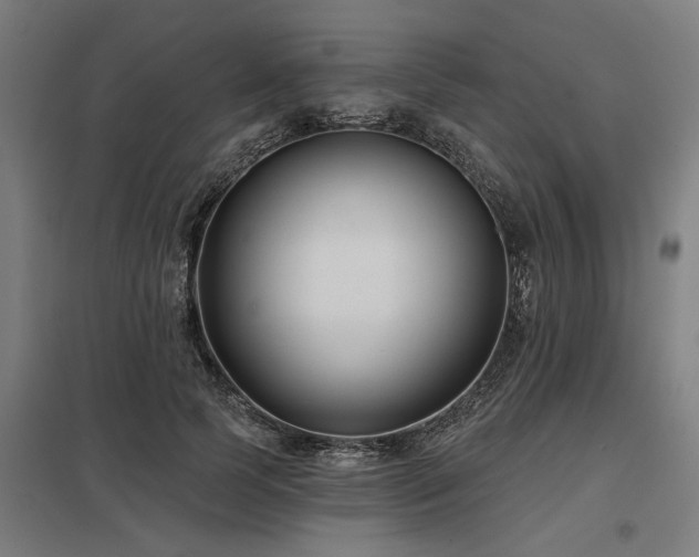 X0000098050745200803281454