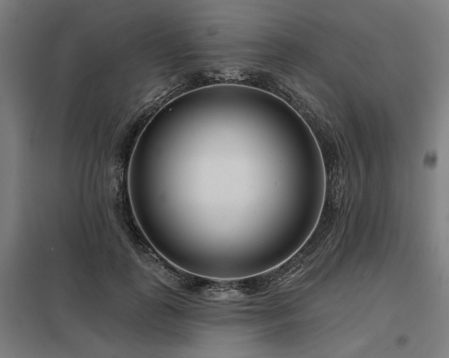 X0000098050747200803281454