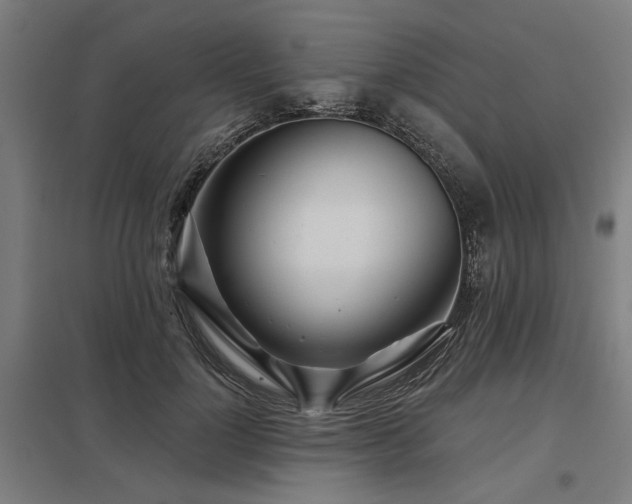 X0000098050748200803281454