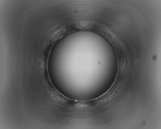X0000098050749200803281454