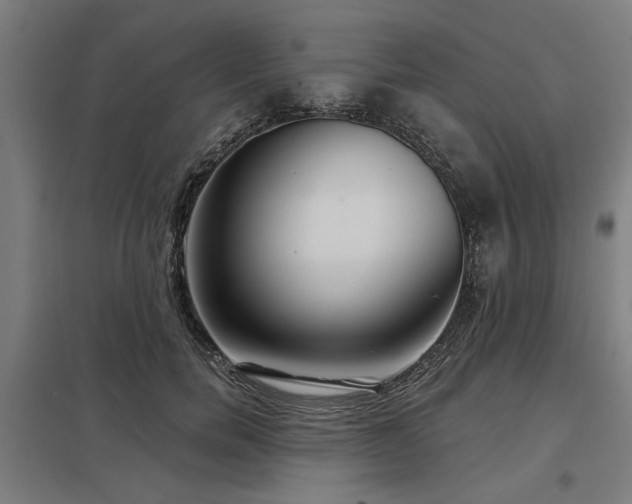 X0000098050750200803281454